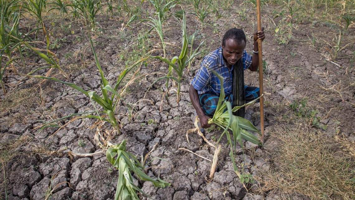 us-pledges-97m-to-combat-ethiopia-s-drought-miami-herald